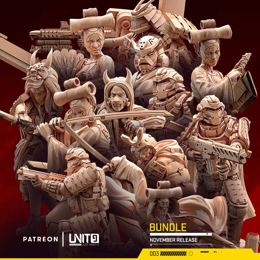 Unit 9 - Boryokudan