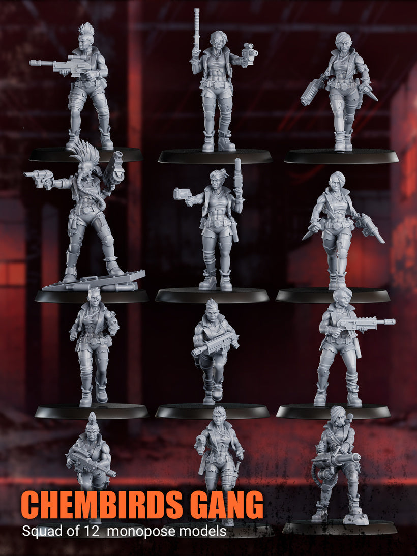 Chembirds Gang - Builder kit DakkaDakka