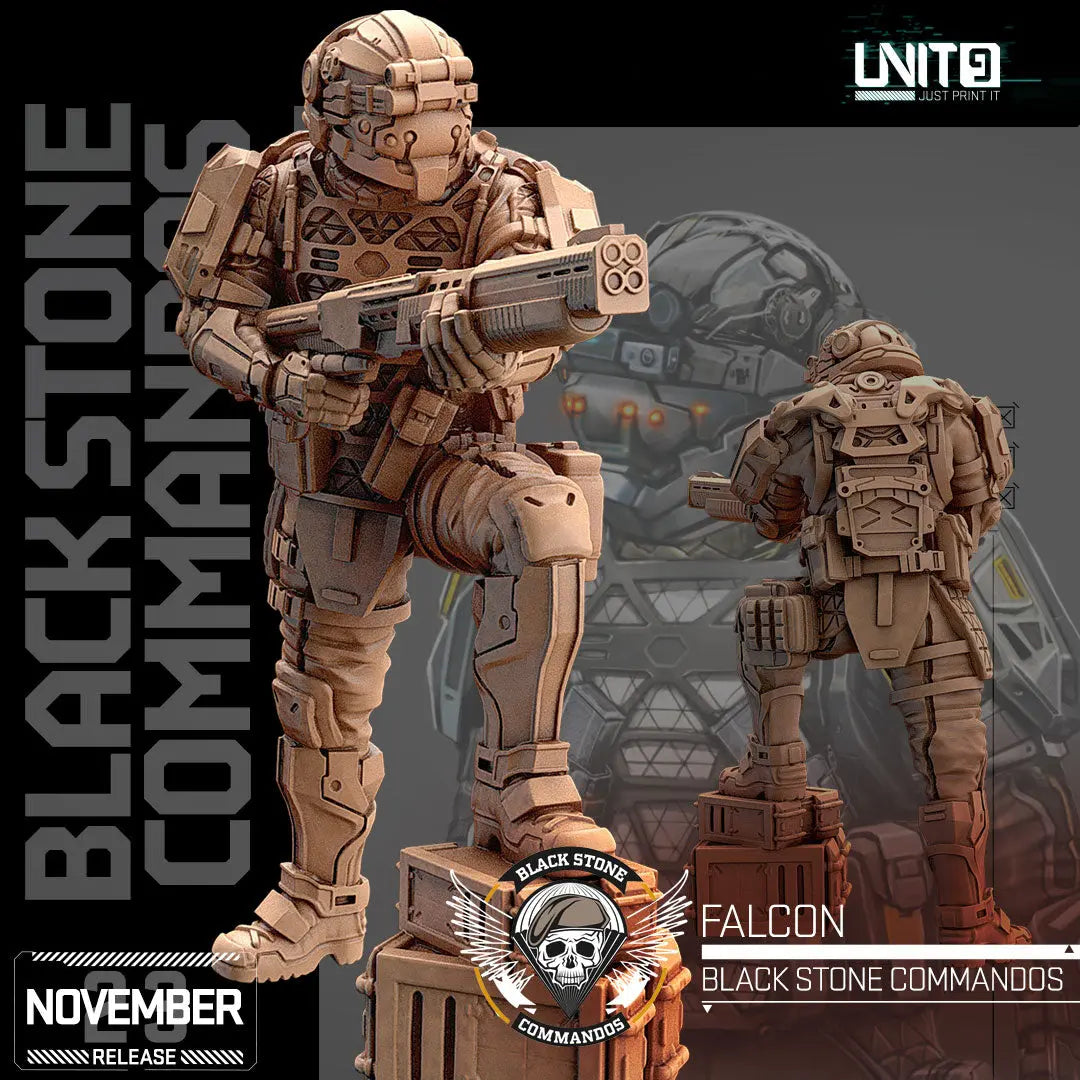 Falcon - Black Stone Commandos Unit 9