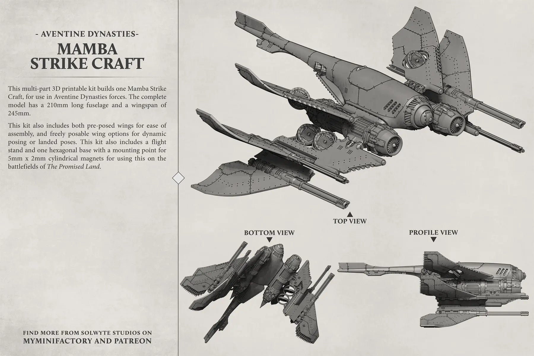 Mamba Solwyte Studios